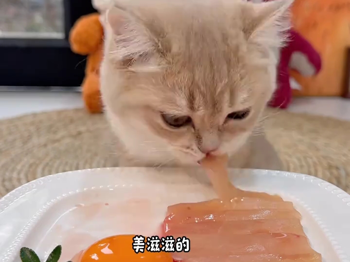 哈基米有好好吃早饭哦