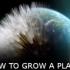 纪录片.植物星球.S01E01.2012[IMDB 8.6][高清][英字]