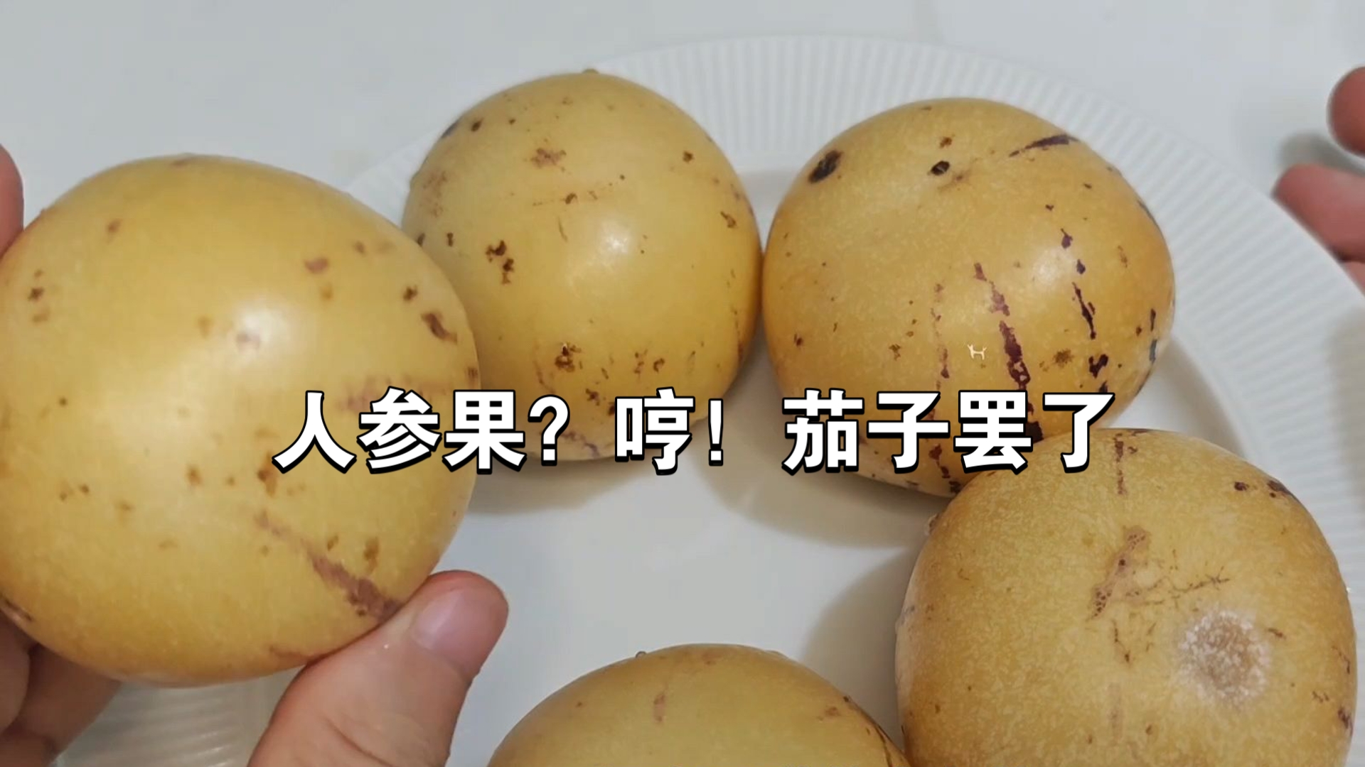 应季水果测评［人参果］