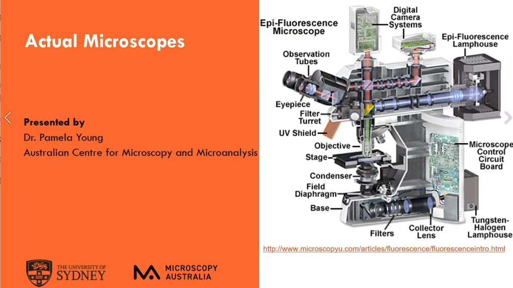 Actual Microscopes 1-3