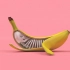 【动画短片】各种魔性的香蕉~~|动画学术趴