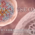 《生物自习室》：流感病毒的感染与增殖