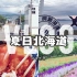 【心有小火箭】VLOG | 初夏北海道-追赶烟花-薰衣草田
