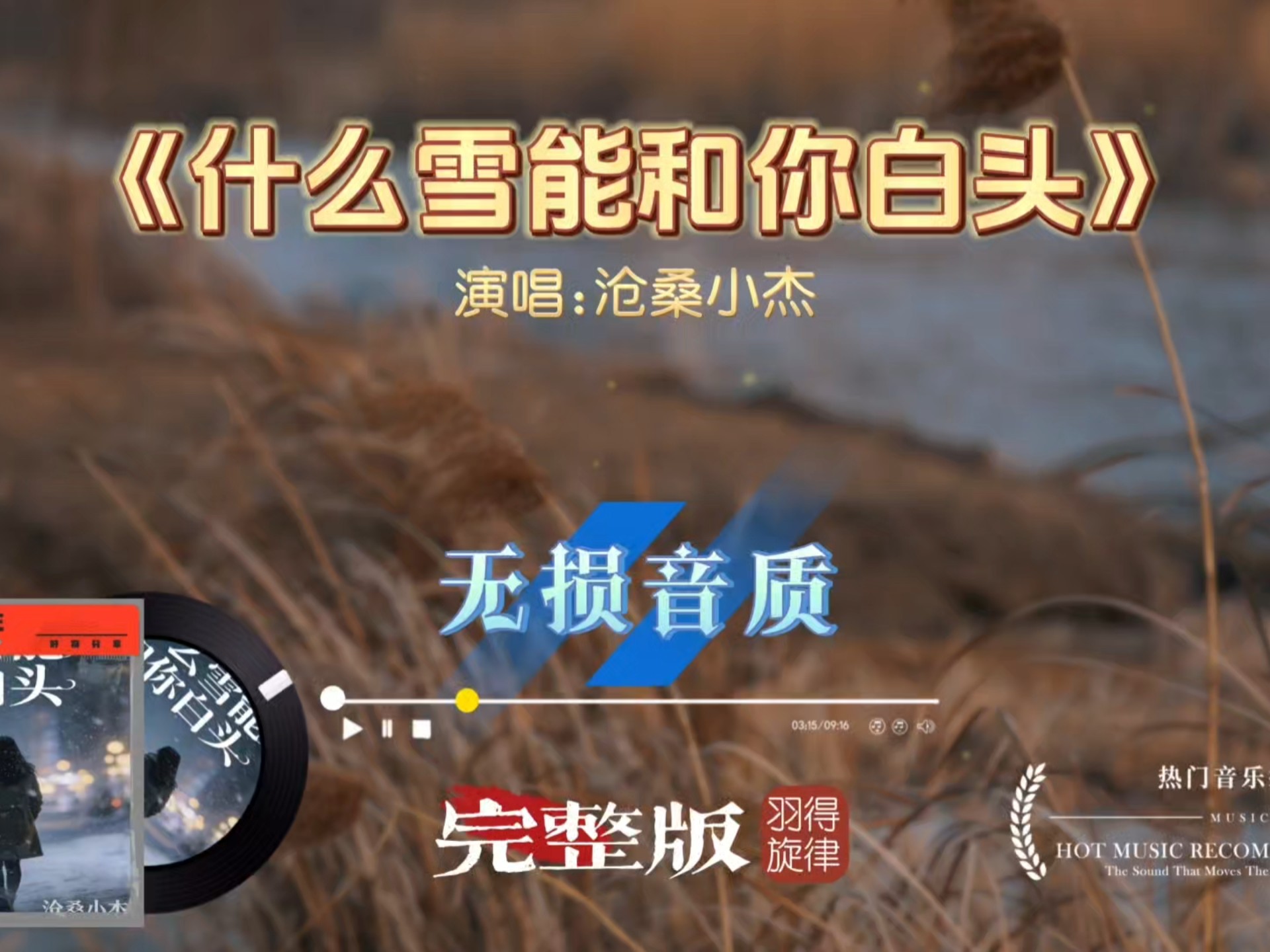 沧桑小杰歌曲《什么雪能和你白头》完整版，热门歌曲听着太上头了