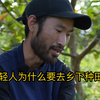 年轻人为什么要去乡下种田？（一