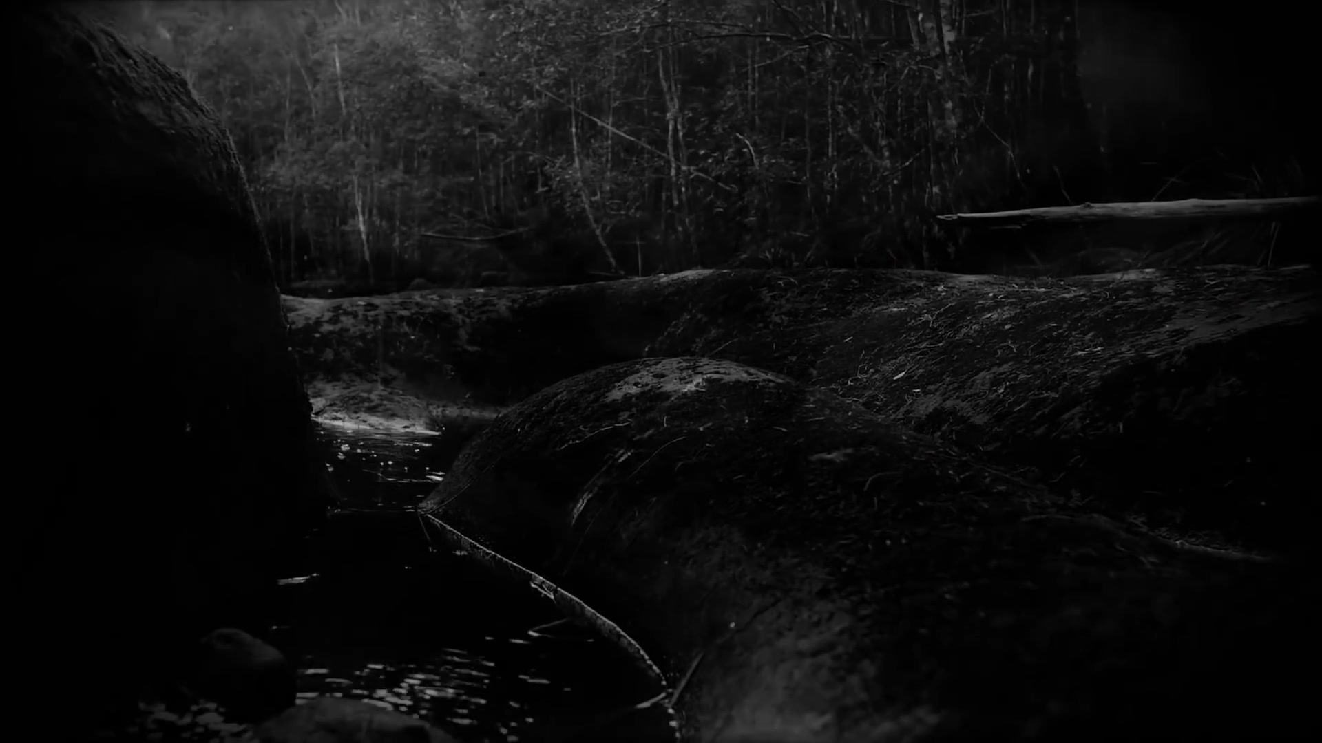 卫斯理地冢澳大利亚技术死亡金属 PSYCROPTIC - FROZEN GAZE