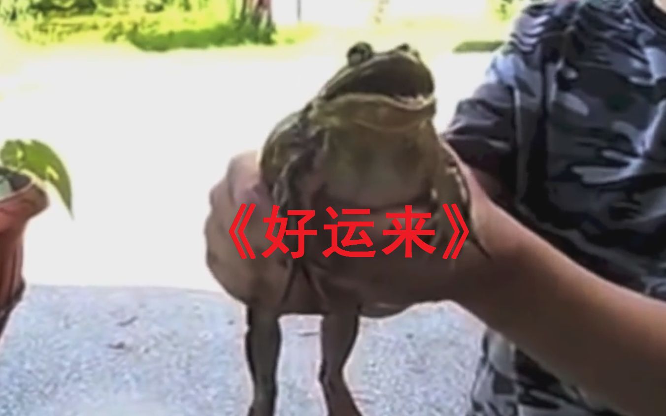 【青蛙鬼畜】好运来