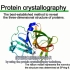 【中英双字】蛋白质晶体结构分析 Protein crystallography
