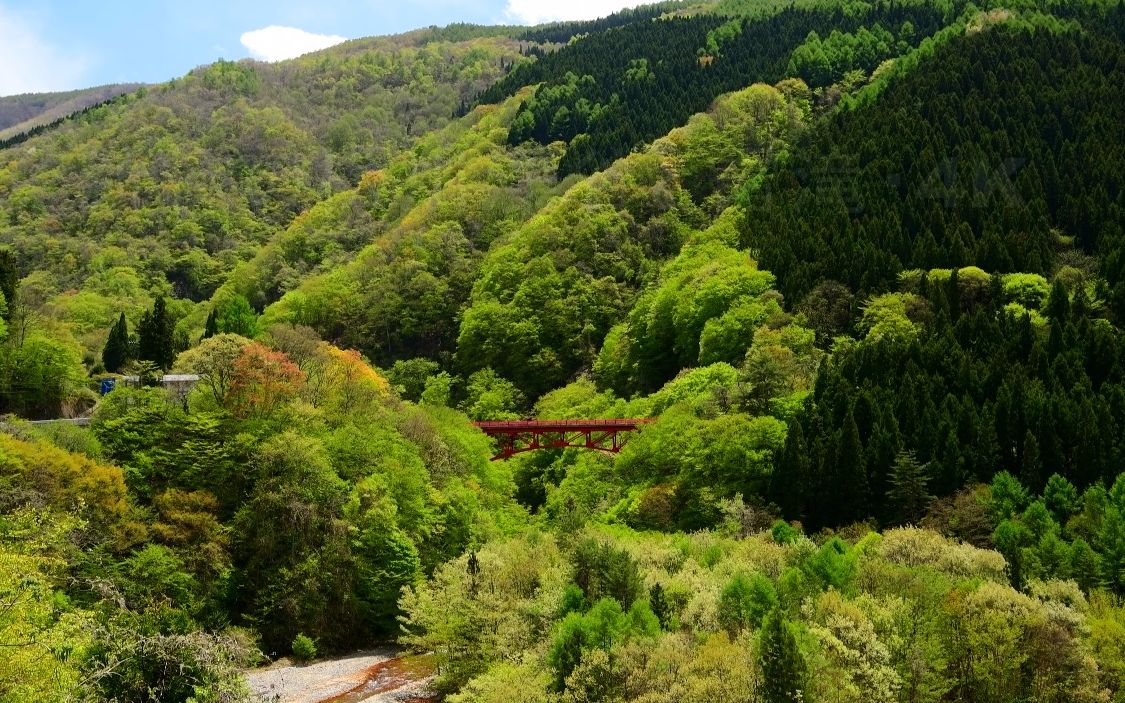 【超清日本】第一视角 新绿的松川溪谷和雷滝瀑布 (4K超清版) 2021.5