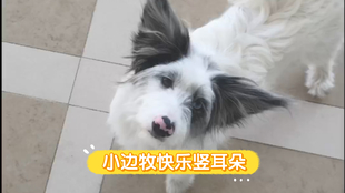 立耳教程 bd713d57d660e73aeb7fbe6e43f4081669c629ed.jpg@310w_174h_1c_100q.jpg