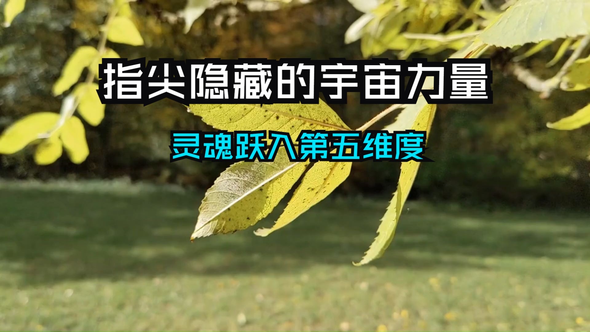 鲜为人知！指尖隐藏的宇宙力量！七个手势对应七种能量频率，掌握它们将重新激活能量流动，灵魂跃入第五维度！