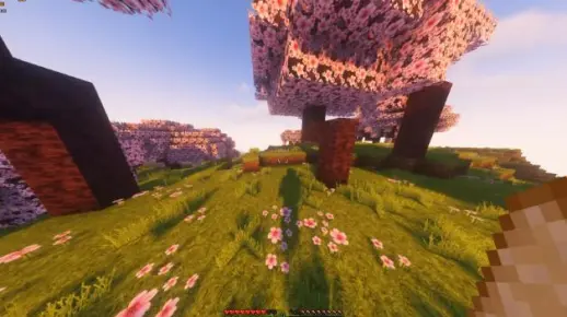 我的世界樱花生存3