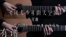 双吉他伴奏曲谱_吉他入门曲谱(3)