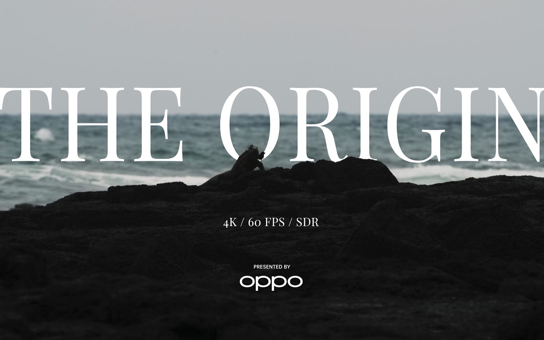 【4K 120FPS HDR】OPPO FINDX2屏幕技术演示片——The Origin