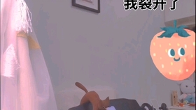 bdd44841fac7832edb4648e2bd32d3a7ee3d7fd1.jpg@280w_158h_1c_100q.jpg