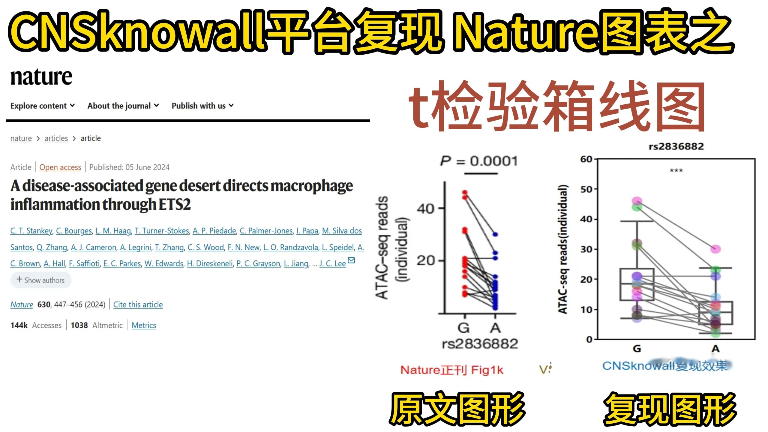 当研0师弟在实验室打游戏，师兄不爽，师弟用t检验箱线图打脸   超越SPSS、Origin、GraphPad prism和R语言的作图神器来喽