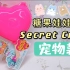 Secret Crush | 糖果娃娃盲盒宠物款