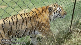 be3a0d6efd806b835192be0c1aab158677384eac.jpg@280w_158h_1c_100q.jpg