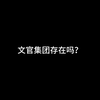 文官集团存在吗