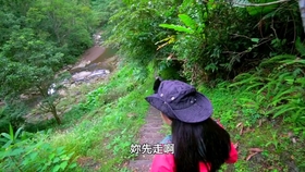 be79bdb4ed25d4a4c8beeaf71c6a74acecf23934.jpg@280w_158h_1c_100q.jpg