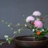 阿米亚花艺｜中式插花之牡丹菊盘花步骤视频