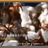 BCI组织携H&M碰瓷新疆棉花？视频带你了解新疆高度机械化的“智慧农业”！