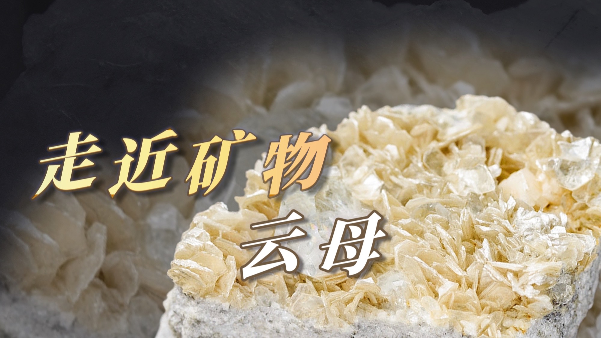 石头科普｜走近矿物——云母