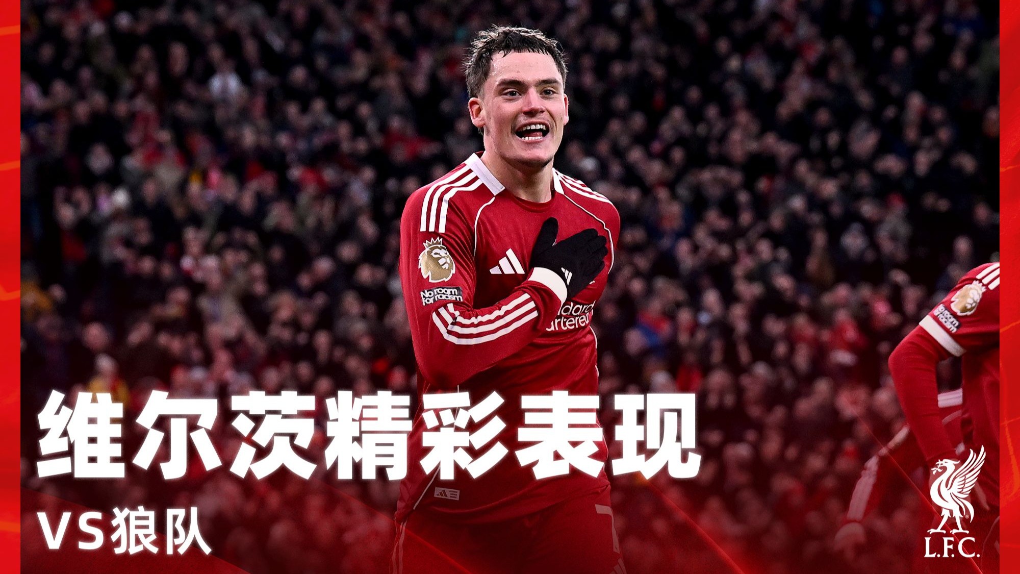 蝴蝶展翅可得全场震动🦋