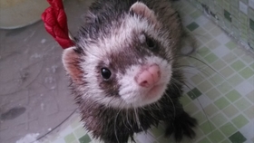 什么时候天气正式变冷 bea05b0da775e7bd40f1461e754b41816cbfb40a.jpg@280w_158h_1c_100q.jpg