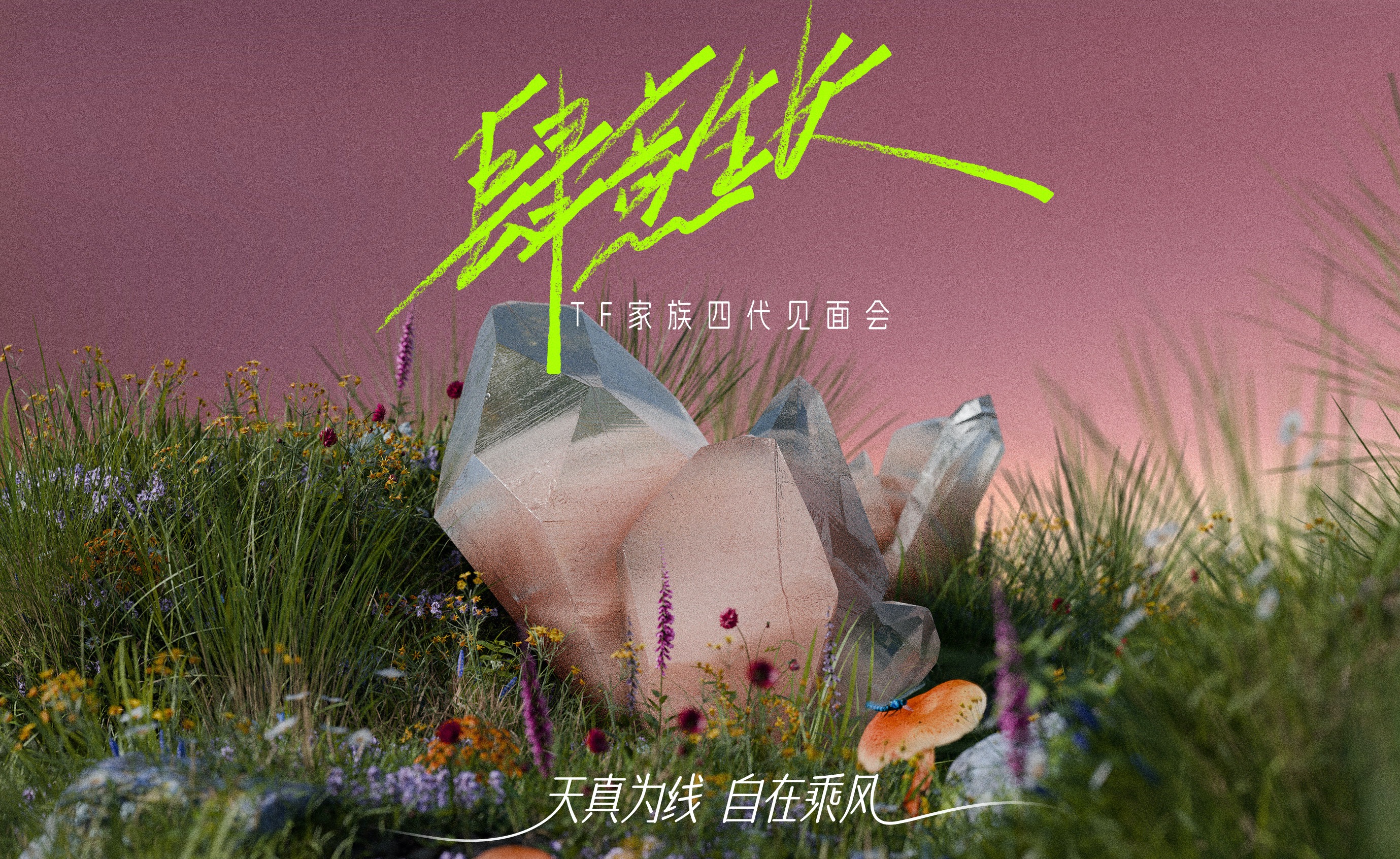 【TF家族练习生】《肆意生长》见面会舞台篇——游戏环节