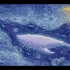 【文艺短片】《月亮与鲸》一个关于朋友的短片，灵魂契合，世界上的另一个我