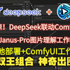 【王炸组合Deepseek-R1大模型+Comfyui工作流】Janus-Pro本地部署+Comfyui零基础入门到精通教程+工作流手把手创建附Lora模型插件