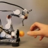 LEGO Mindstorms Arm with Computer Vision 结合计算机视觉的乐高机械臂