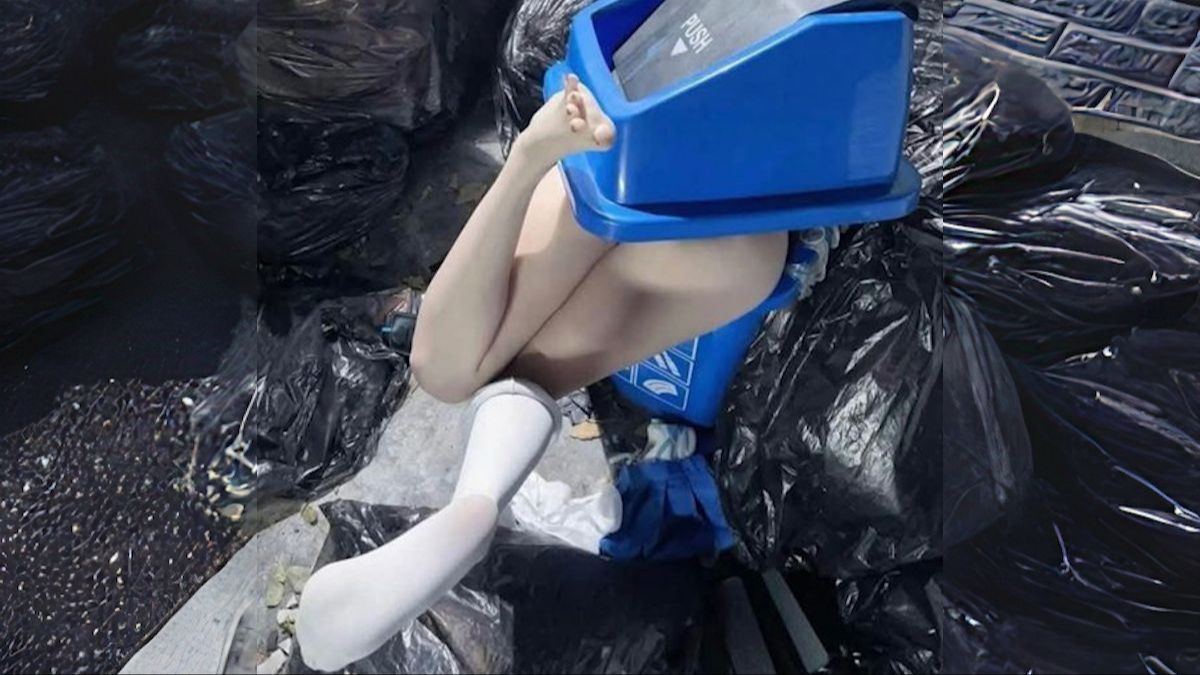 国外趣味视频集锦＆动物迷惑行为大赏#259