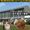 《软软金币》第六集