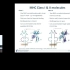 免疫信息学_MHC-Ⅱ的抗原表位分析软件IEDB教程