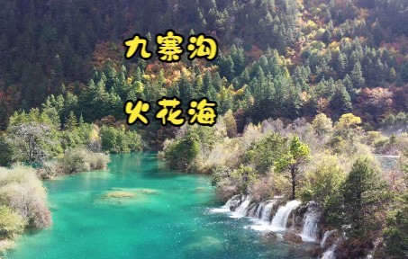秋意正浓，没有见过深秋的九寨沟火花海，是会有遗憾的。
