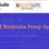 第五课 Burpsuite Proxy Options