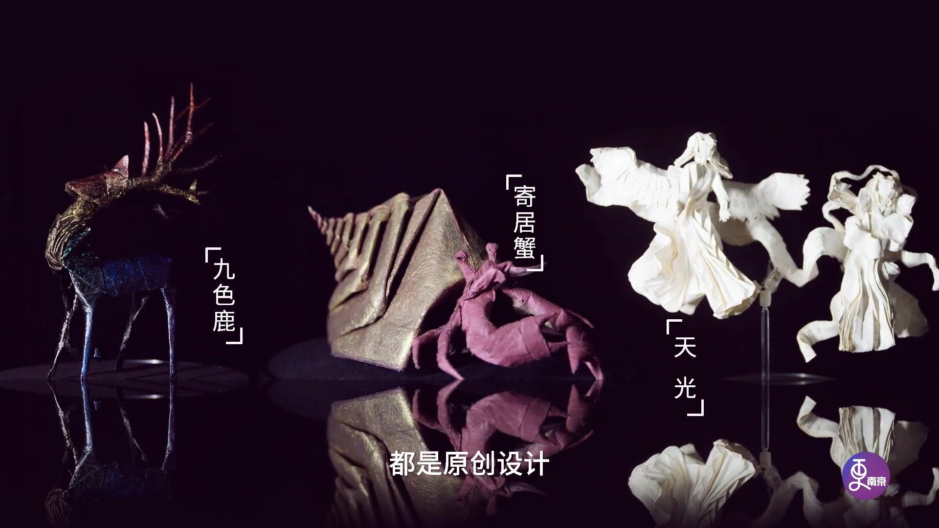 中国折纸学霸裴浩正 紫金草的故事 南京大屠杀