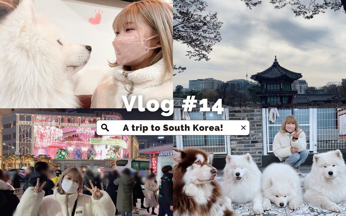 【个人中字】【内田秀ShuTube】Vlog 14: 出差去韩国 遇见萨摩耶