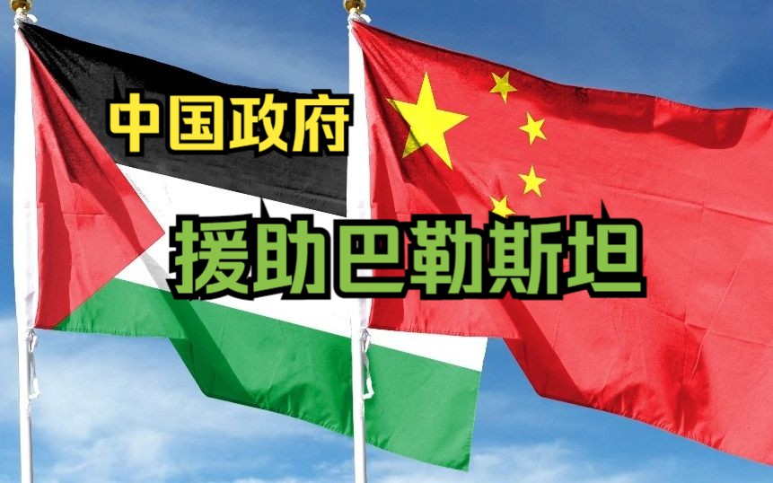 中国政府向巴勒斯坦提供紧急人道主义援助
