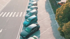 任妙音的感恩歌曲谱_任妙音高清手机壁纸