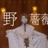 【4K | 张远】「嘉宾」巡回演唱会 南京站 野蔷薇
