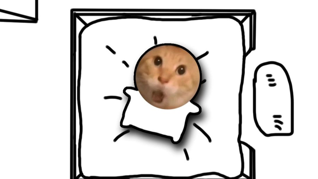 基米小学：耄耄失眠的一夜