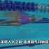 韩国美女教自由泳（1-8集）中文字幕-自由泳教学