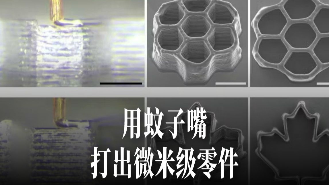 蚊子的嘴，居然是最好的3D打印喷头！