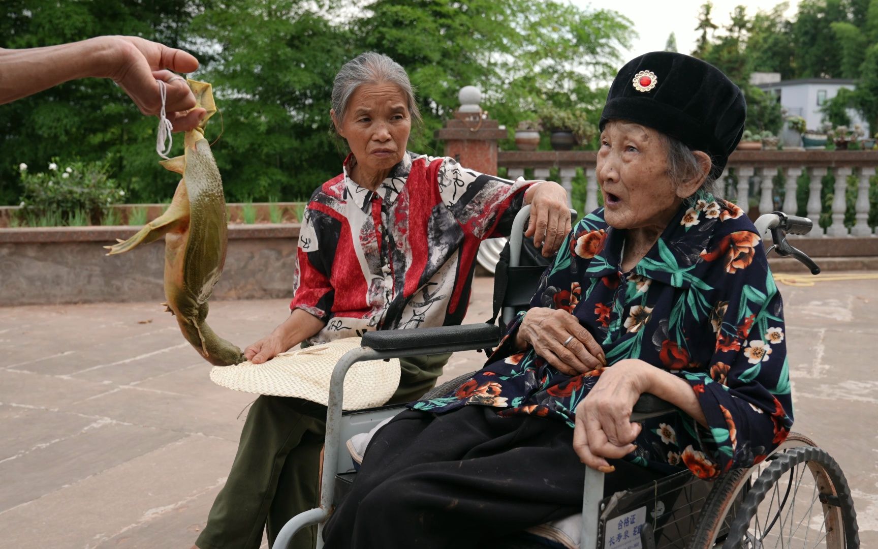 80买只大甲鱼，老爸下厨煨一锅汤，老妈最后说的话，真是让人感动