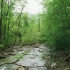 【高清视频素材】穿越河流和森林