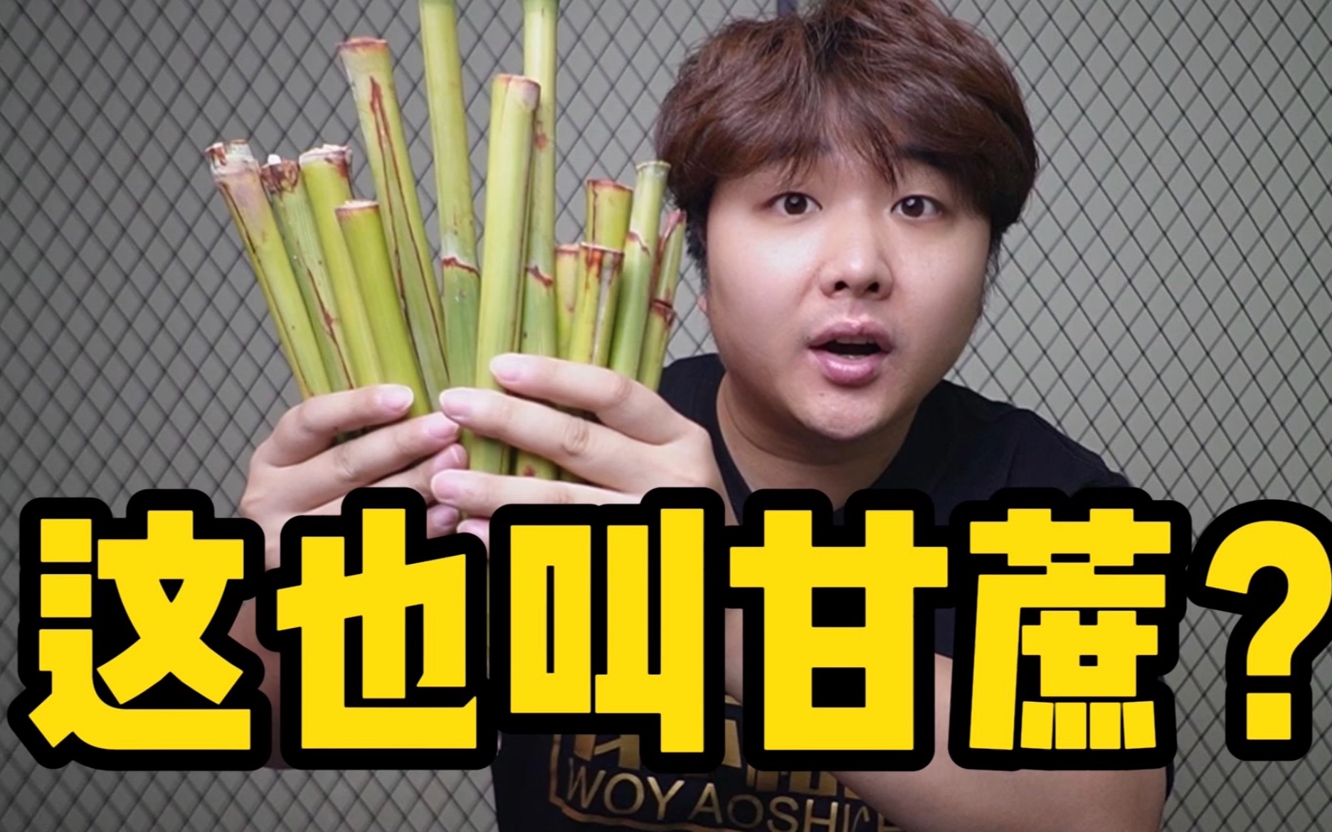 帅小伙实测东北甘蔗？这味道还行就是有点费嘴吧？