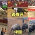 不同国家的斗牛表演，印度斗牛直接吃席，西班牙斗牛人多力量大！